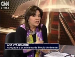 Ex ministra de Medio Ambiente, Ana Lya Uriarte en CNN Chile.